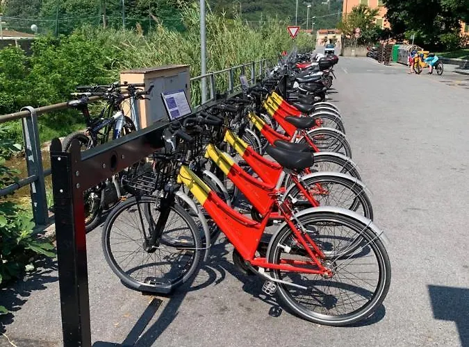 Koala Διαμέρισμα